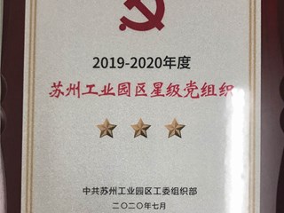 2019-2020年度苏州工业园区三星级党组织