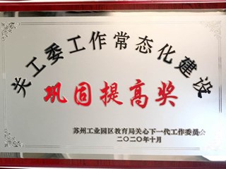关工委工作常态化建设巩固提高奖